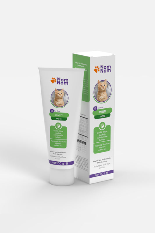 Kedi Multivitamin Macunu Tüy Yumruğu Bağışıklık Desteği 100g Malt Takviyesi Sağlıklı